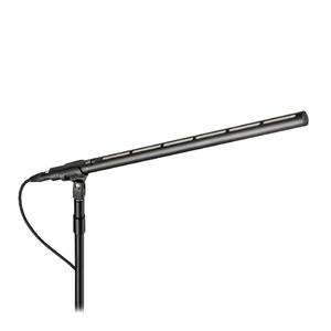 Audio-Technica BP28L Large-Diaphragm Line Gradient Microphone, 22 Inch Outlet New Styles