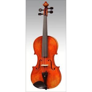ARS Instruments AM028/O Advanced Violin Outfit 4/4 Size with Case & Bow Sale Comfortable