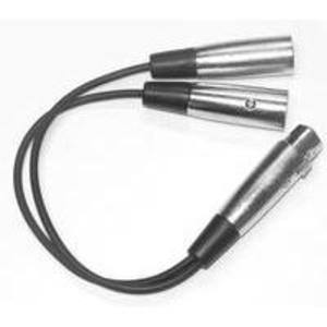 Apex AA11Y Adapter Cable XLR Female-2xXLR Male Discount Reliable