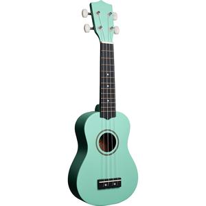 Amahi PNUKGR Tropical Series Soprano Ukulele with Gig Bag-Mint Green Cheap Pice Wholesale