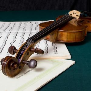 Violine sa notama Cheap Pice Wholesale Pice