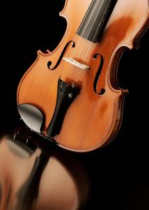Violine i odraz Sast Online