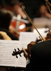 Violine nastup Discount Get To Buy