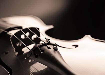 Violine crno bela slika Cheap Professional