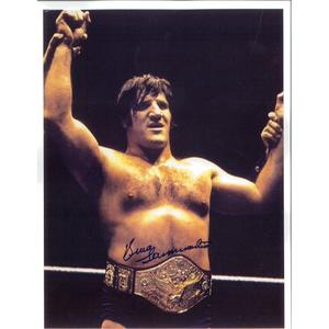 Bruno Sammartino Photo 8.5 x 11 - Autographed Cheap Best Store To Get