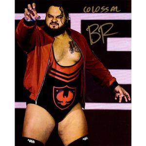 Bronson Reed Promo - AUTOGRAPHED Discount Pay With Paypal