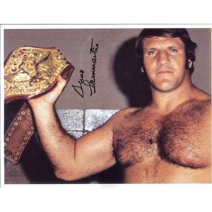 Bruno Sammartino Photo 8.5 x 11 - Autographed Cheap Explore
