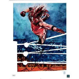 AJ Styles The Man Without Fear Schamberger 11 x 14 Poster - JSA AUTOGRAPHED 2025 Newest Sale Online