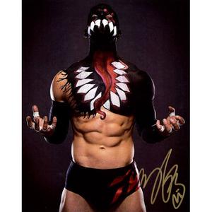 Finn Balor Promo - AUTOGRAPHED Looking For For Sale