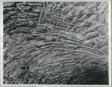 1937 Press Photo Pick marks in roof of tunnel Free Shipping Cheap
