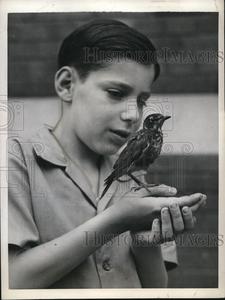 1943 Press Photo Jon Fuhrer with robin Free Shipping Huge Surprise