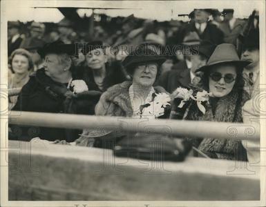1939 Press Photo Cub Yankees Ball Game. Mother of R.R. Wringler watching. On Hot Sale