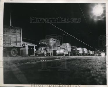 1943 Press Photo St Paul Stock Yard Jammed by Hog Shipments Discount Authentic Online