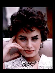 Sophia Loren JSA Coa Signed 8x10 Photo Autograph 2 Cheap Pice Outlet Sale