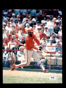 Ozzie Smith PSA DNA Signed  8x10 Photo Autograph Cardinals For Sale
