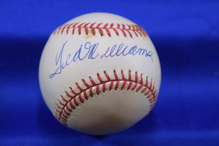 Ted Williams PSA DNA Autograph American OAL League Signed Baseball Buy Cheap Release Dates