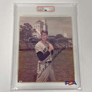 Ted Wlliams Signed 8x10 Photo PSA Encapsulated Auto Red Sox Online Shop From China