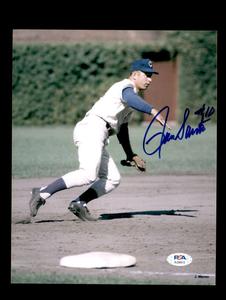 Ron Santo # 10 PSA DNA Cert Signed 8x10 Photo Autographed Best Seller