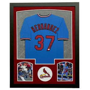 Keith Hernandez Signed St Louis Blue Custom Suede Matte Framed Baseball Jersey Outlet View