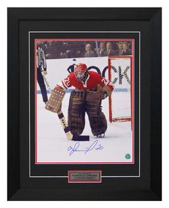 Vladislav Tretiak Soviet Russia Signed 1972 Summit Series 26x32 Frame Sale Reliable