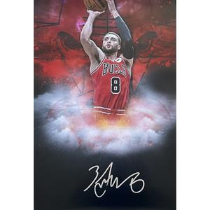 Zach Lavine Autographed/Signed Chicago Bulls 20x24 Photo FAN 47013 Discount Manchester