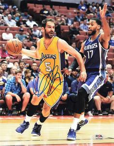 Jose Calderon signed 8x10 photo PSA/DNA Los Angeles Lakers Autographed Outlet Shop