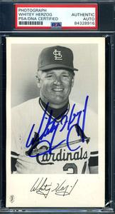 Whitey Herzog PSA DNA Coa Signed Team Issue Cardinals Photo Autograph Cheap Official