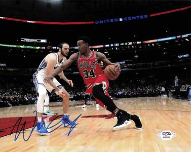 Wendell Carter Jr. signed 8x10 Photo PSA/DNA Chicago Bulls Buy Cheap Countdown Package