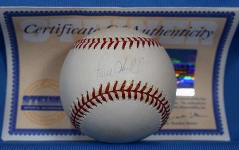 Paul O`neill Steiner Autograph Major League Oml Hand Signed Baseball How Much