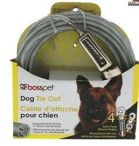 Tie out dog cable 30ft Wide Range Of Online