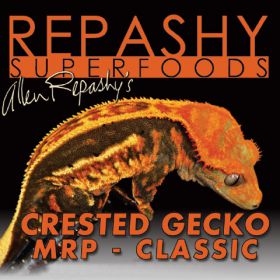 Crested Gecko MRP Classic Buy Cheap Outlet