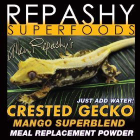 Crested Gecko MRP Mango Outlet Sale Online