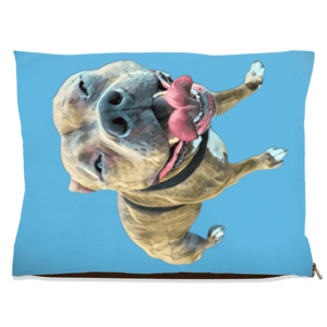 Custom Dog Bed Free Shipping Wiki