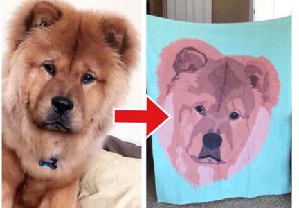 Custom Pet Fleece Blanket Outlet Factory Outlet