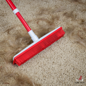 IndigoPet Hair Removal Broom Get To Buy Sale Online