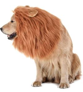 The Lion King Dog Costume Browse Cheap Pice