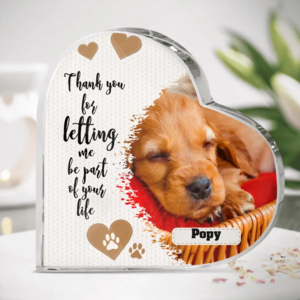 Personalized Memorial Photo Crystal Heart - Memorial Gift Idea For Pet Lover/ Mother's Day Gift - Thank You For Letting Me Be Part Of Your Life Nicekicks Cheap Online