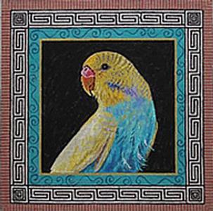 Parakeet Outlet Finishline