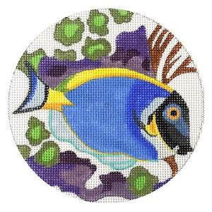 Powder Blue Tang Fish Cheap Buy Authentic