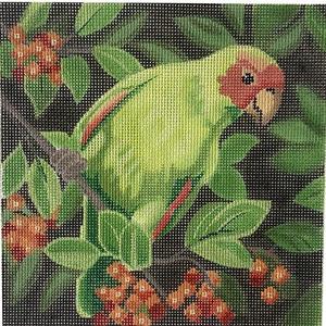 Parrot with Berries Latest Cheap Online
