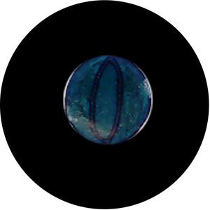 Reptile Eye Milli Best Sale Online