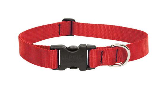 Lupine Pet Basic Red Red Nylon Dog Adjustable Collar Clearance With Mastercard