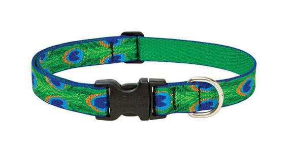 Lupine Pet Original Designs Multicolor Tail Feathers Nylon Dog Adjustable Collar Outlet 2025 Unisex