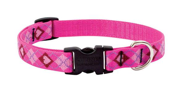 Lupine Pet Original Designs Multicolor Puppy Love Nylon Dog Adjustable Collar Online Cheap Quality