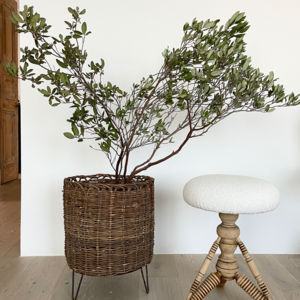 Manzanita Branches Pices For Sale