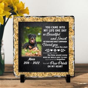 Custom Personalized Memorial Dog Photo Square Lithograph - Memorial Gift Idea For Dog Owners - You Came Into My Life One Day Sale Fast Delivery