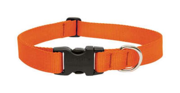 DOG COLLAR 16-28"ADJ BLAZING ORANGE Real Online