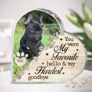 You Were My Favorite Hello & My Hardest Goodbye - Personalized Memorial Crystal Heart - Upload Dog/ Cat Photo Clearance Good Selling
