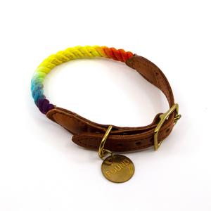 Medium Prismatic Ombre Collar Perfect