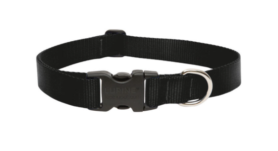 DOG COLLAR 12-20"ADJ BLK Low Pice Sale Online